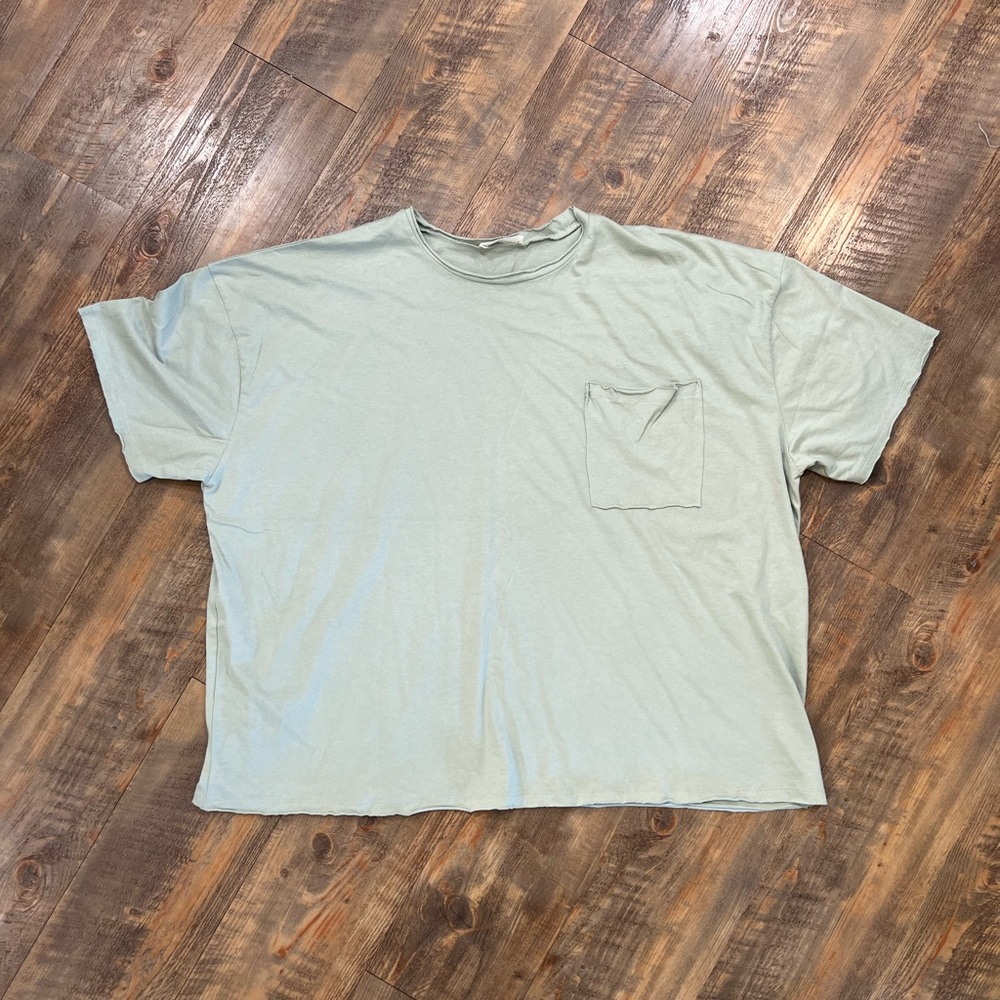 New w/o tags oversized t-shirt by Zenana - 2X - pale Sage green - CUTE SHIRT